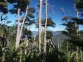 thn_NP Huerquehue3.jpg